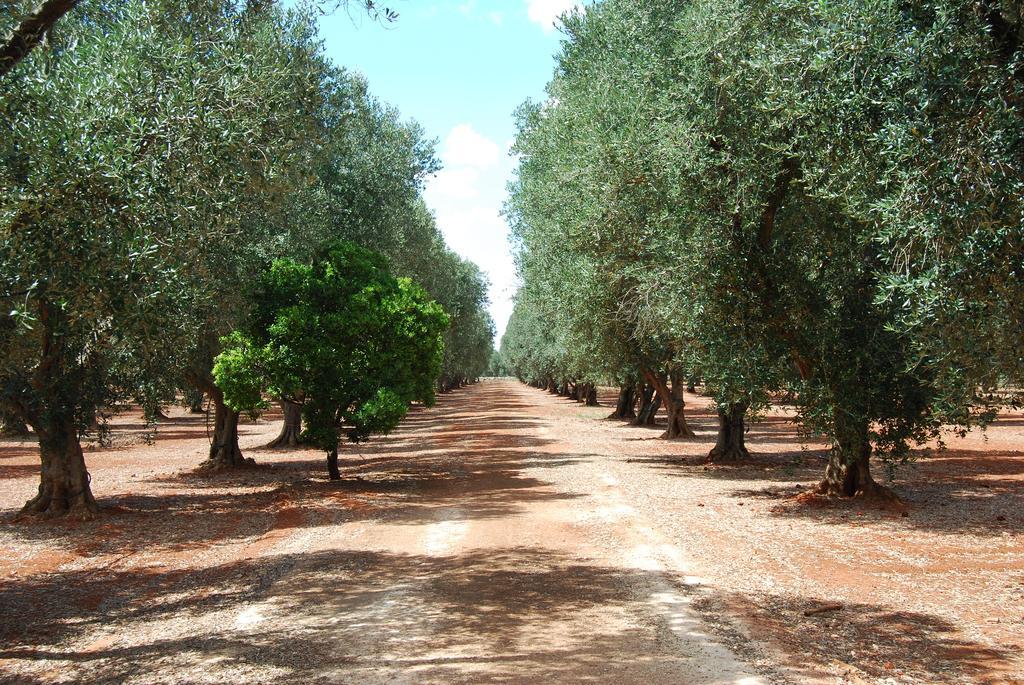 Terra Di Leuca Βίλα Salve Εξωτερικό φωτογραφία