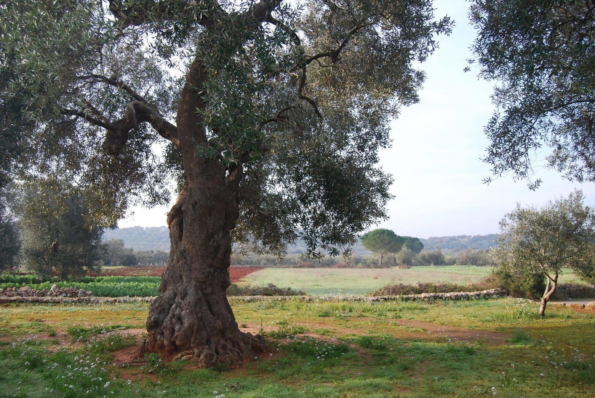 Terra Di Leuca Βίλα Salve Εξωτερικό φωτογραφία